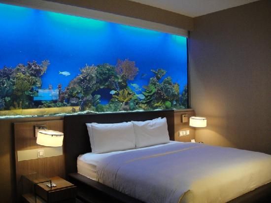decoracao-com-aquario-na-sala-ou-no-quarto