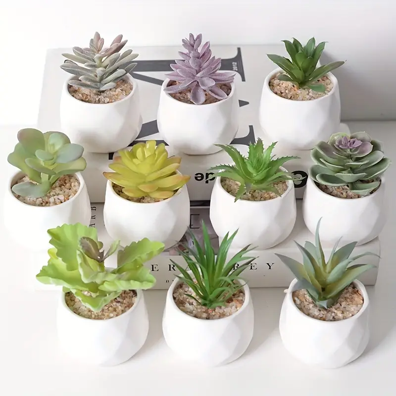 decoracao-com-suculentas-2