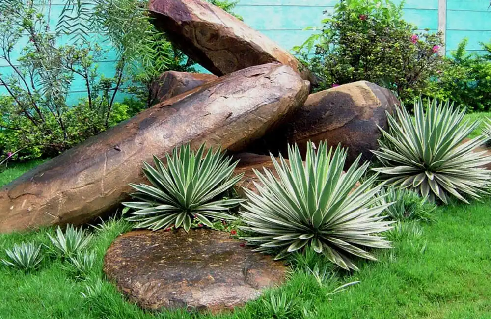 decoracao-de-jardim-2