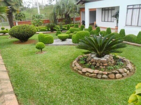 plantas-de-jardim