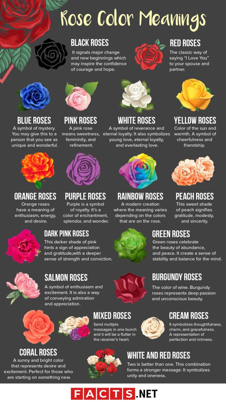 cor-rose