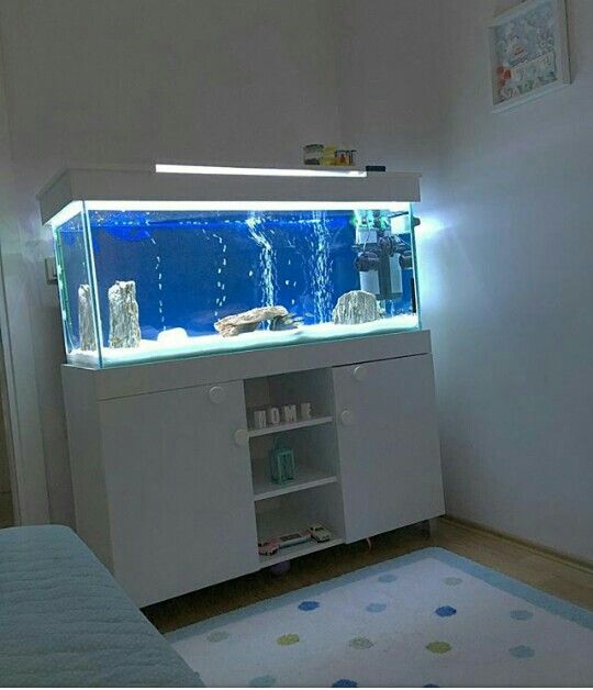 decoracao-com-aquario-na-sala-ou-no-quarto