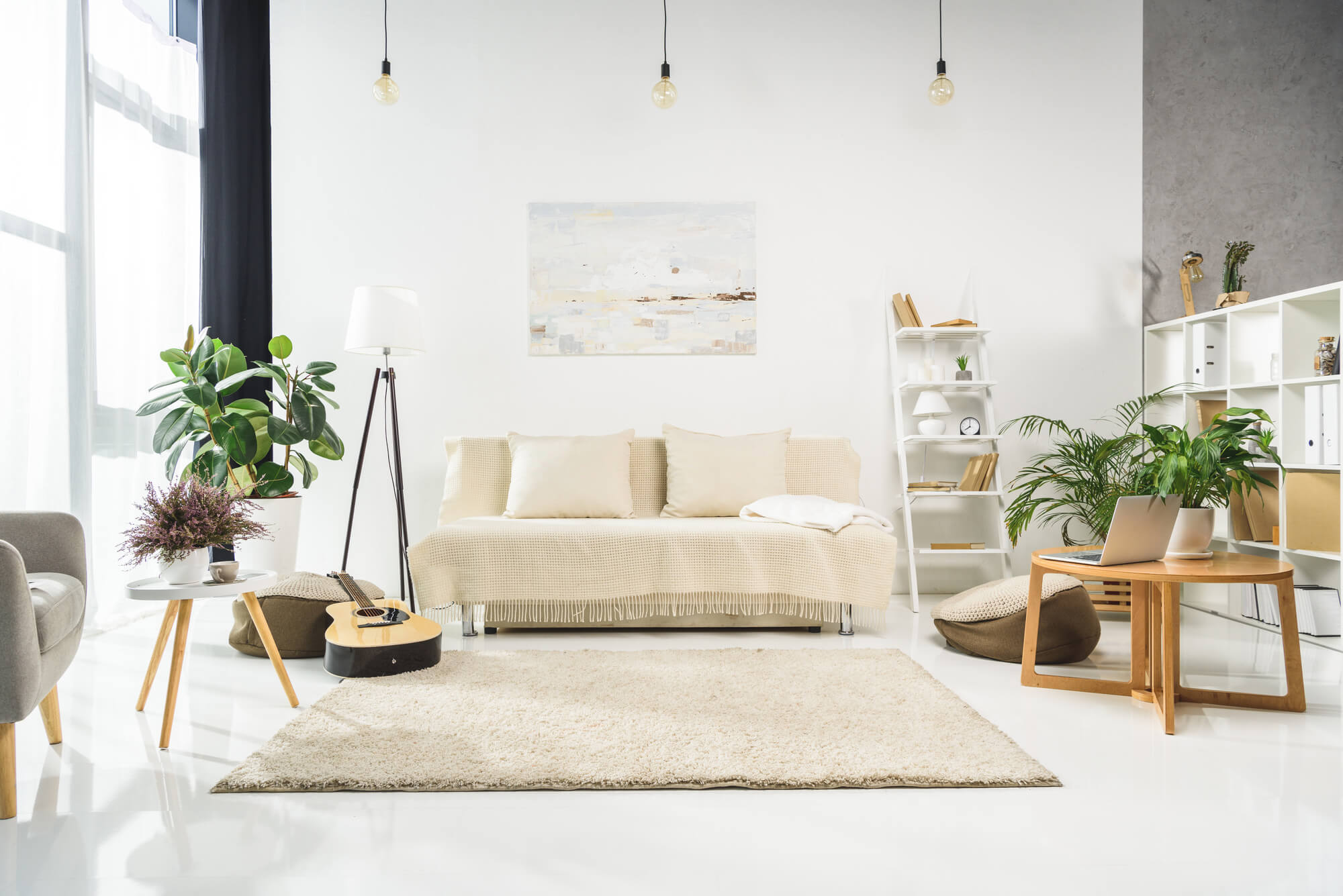 plantas-para-apartamento