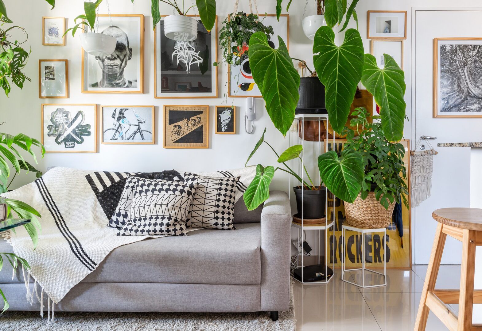 plantas-para-apartamento