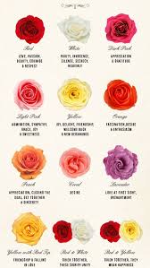 cor-rose