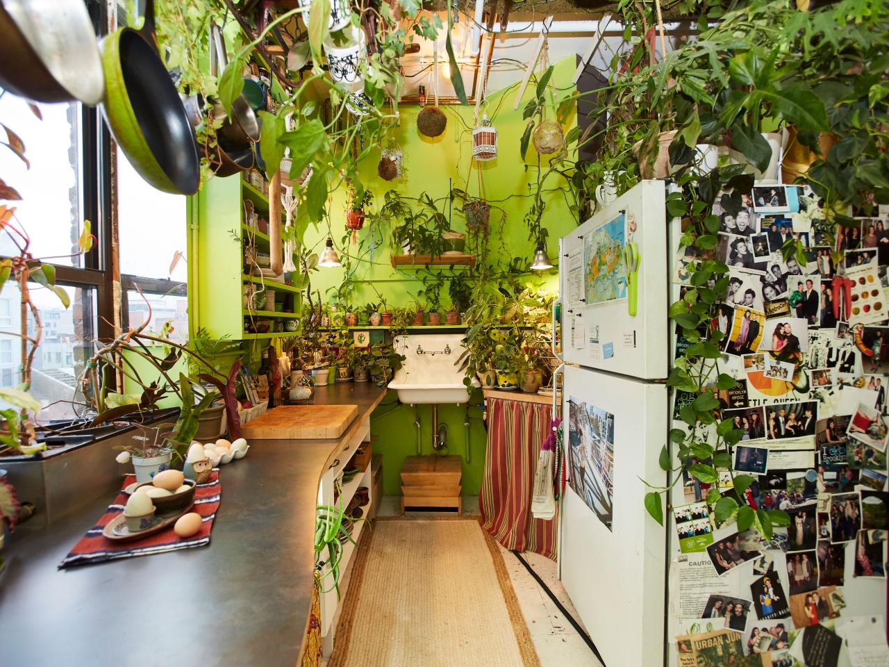 decoracao-de-apartamento-com-plantas-2