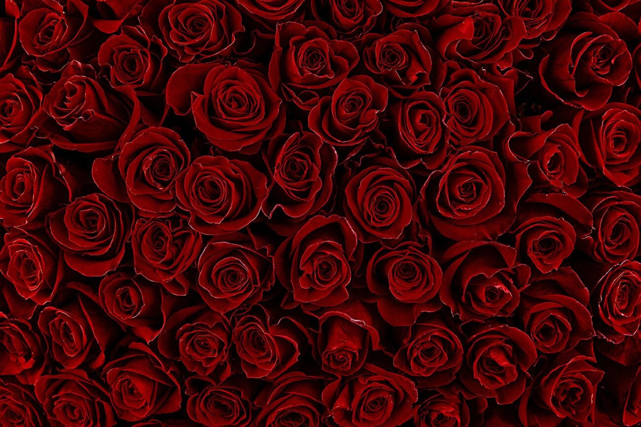 cor-rose