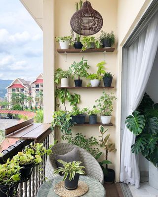 decoracao-de-apartamento-com-plantas-2