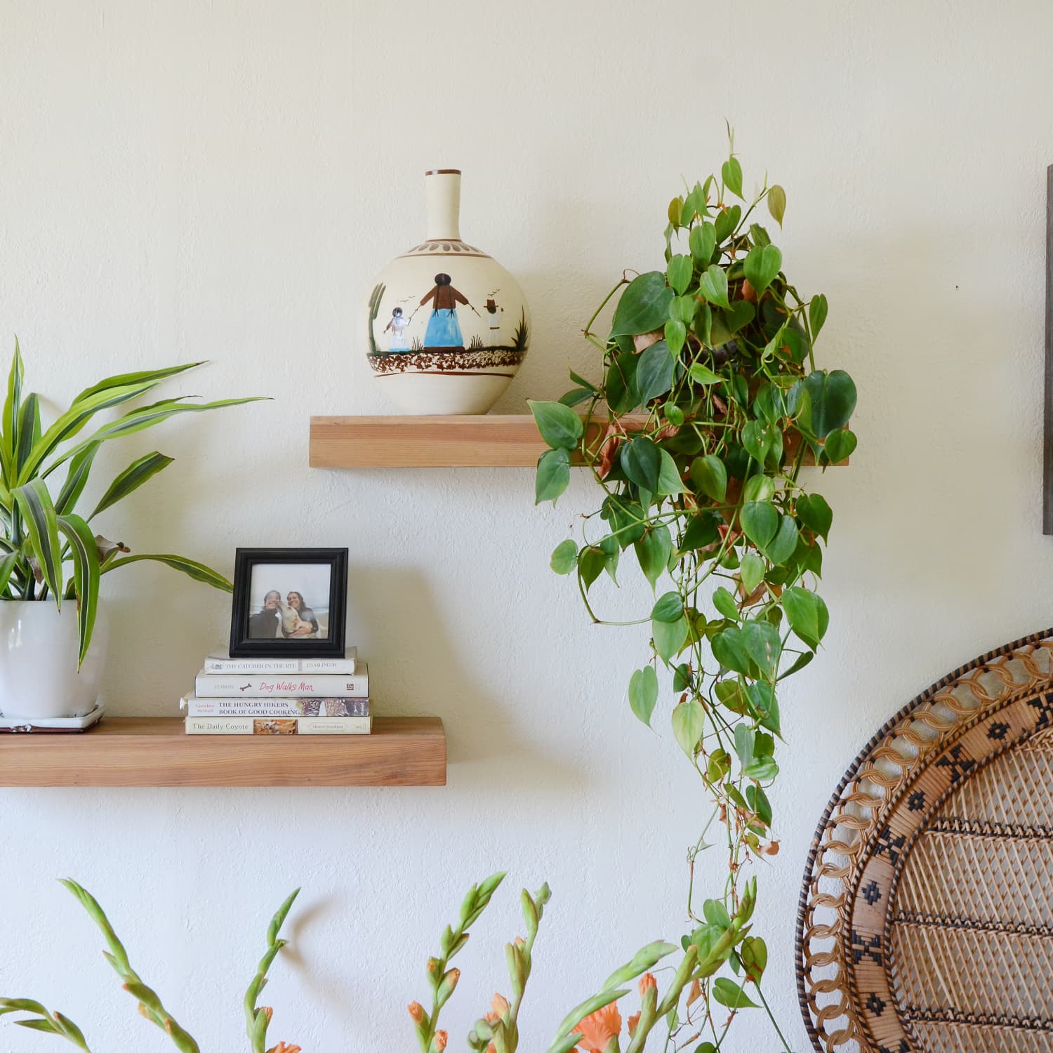 plantas-para-apartamento
