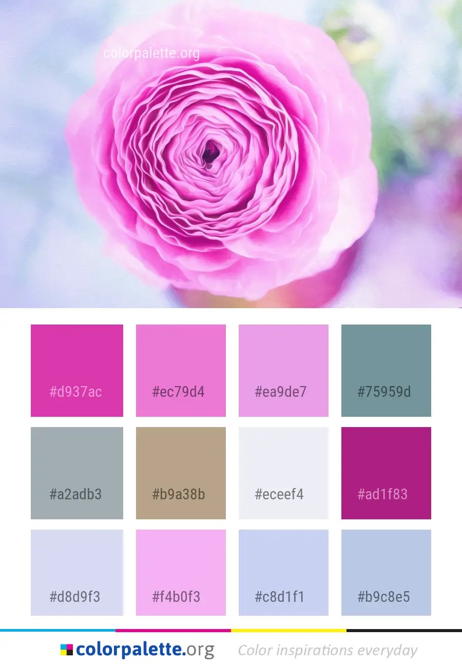 cor-rose