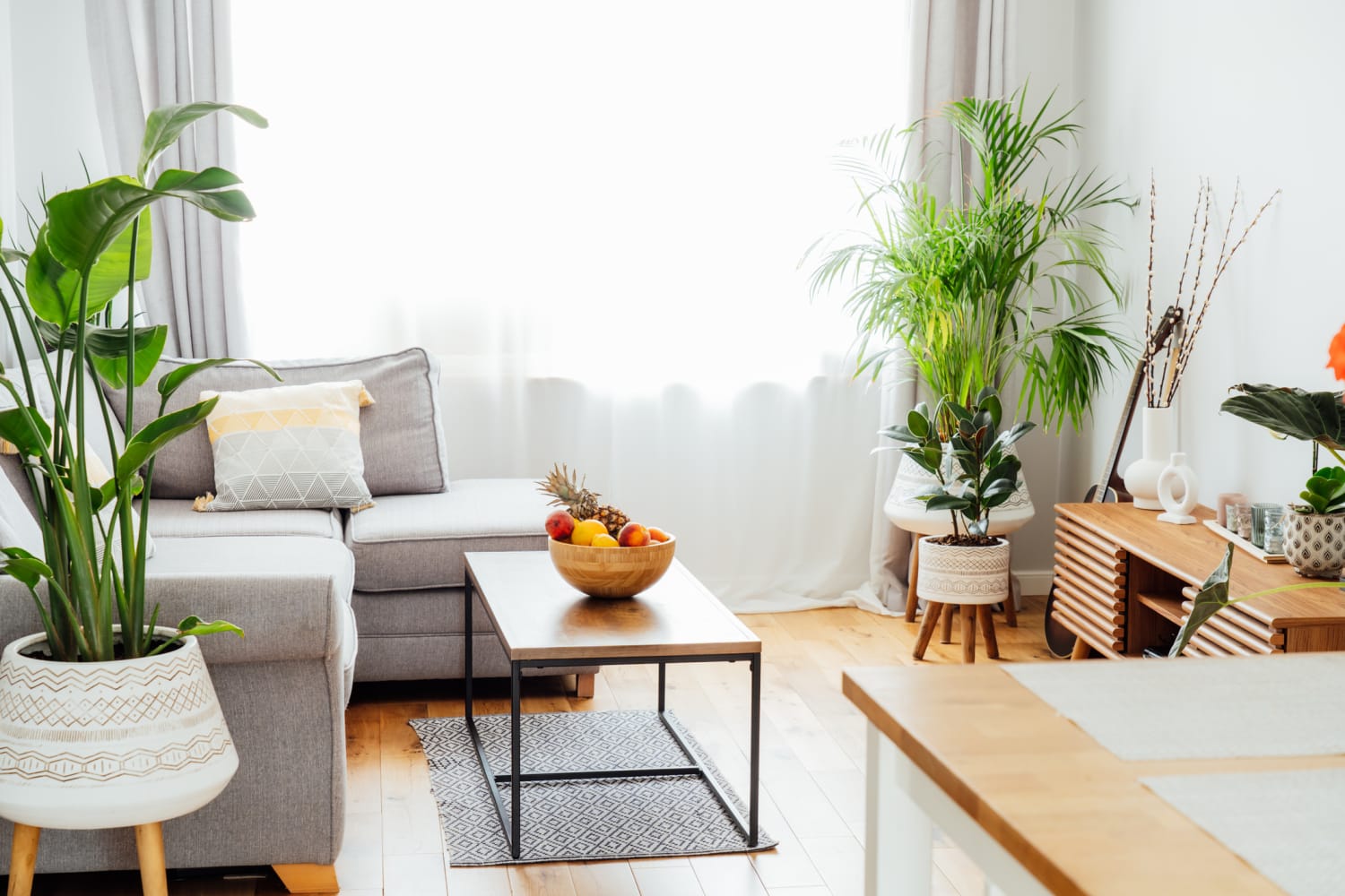 plantas-para-apartamento