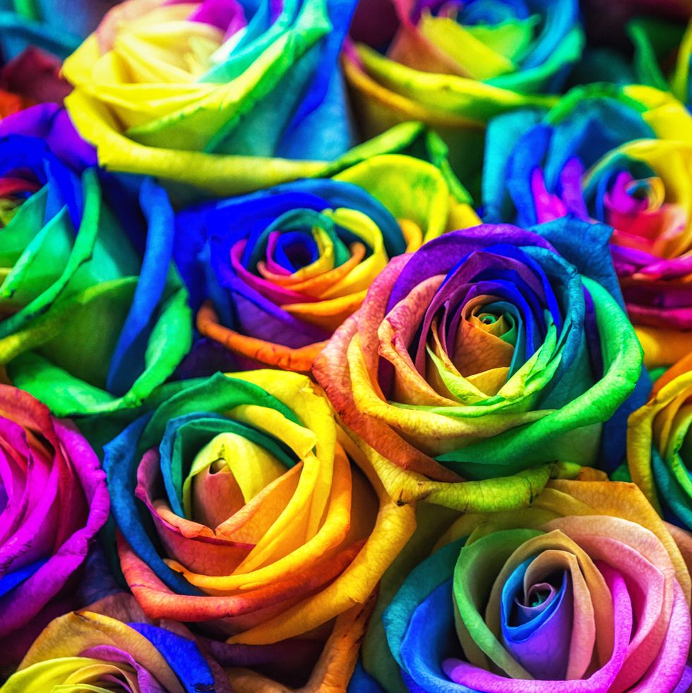 cor-rose