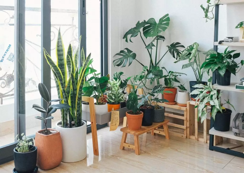 decoracao-de-apartamento-com-plantas-2