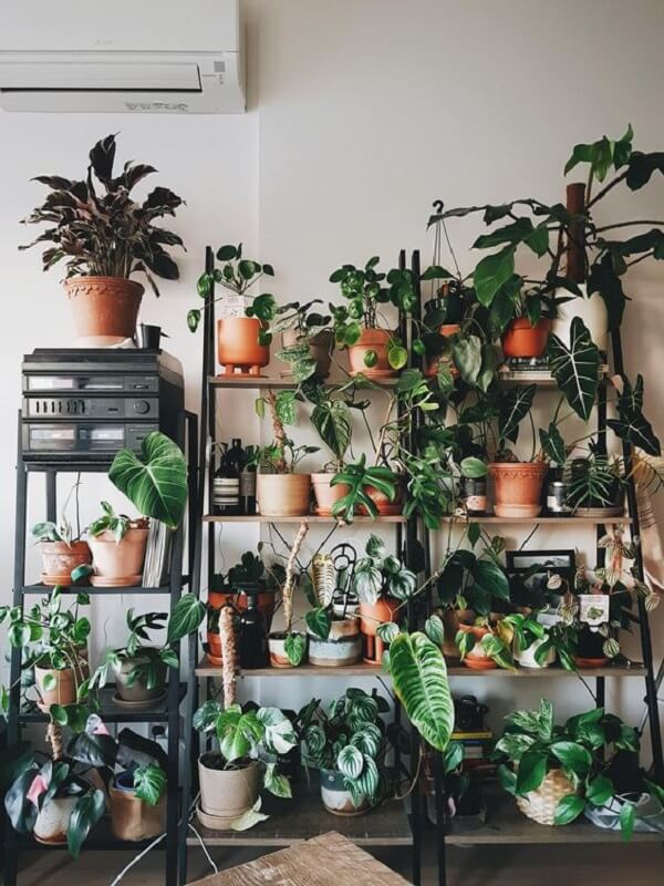 plantas-para-apartamento