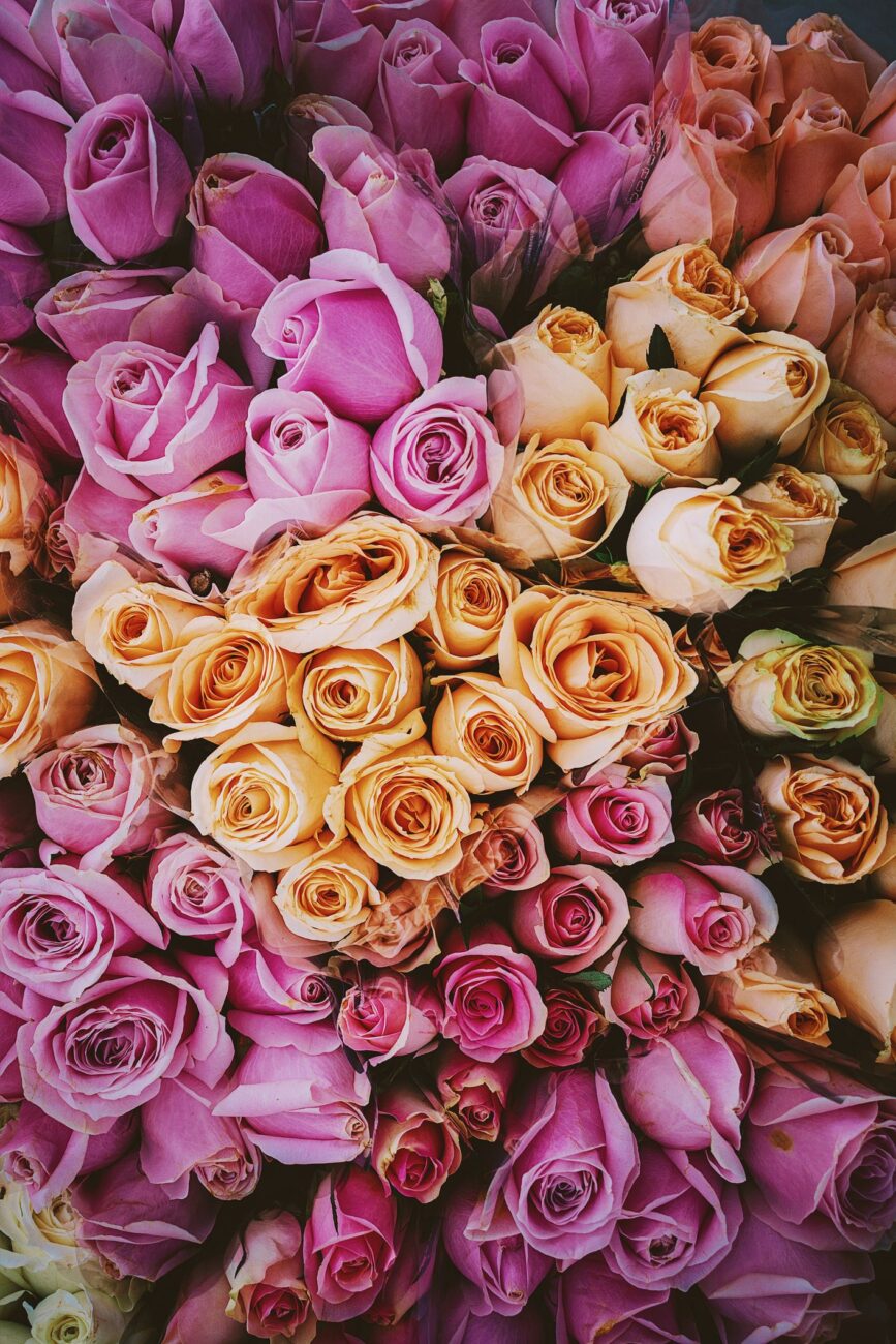 cor-rose