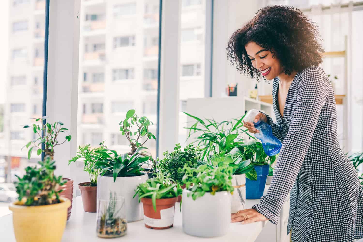 plantas-para-apartamento