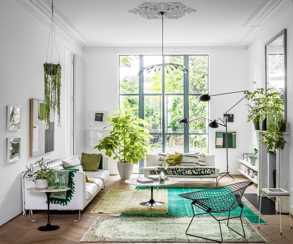 plantas-para-apartamento