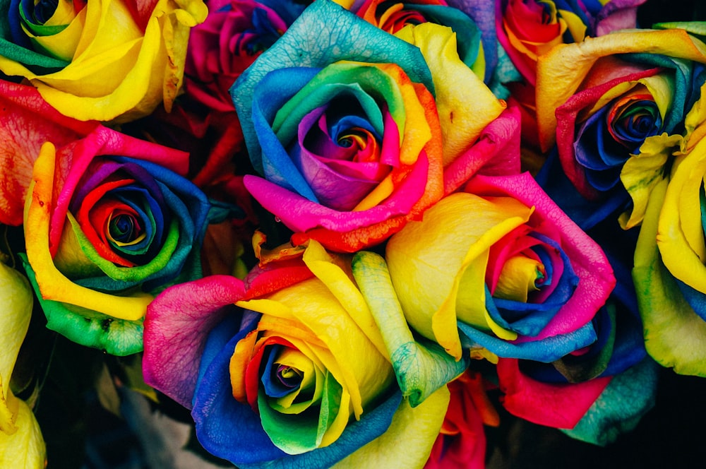 cor-rose