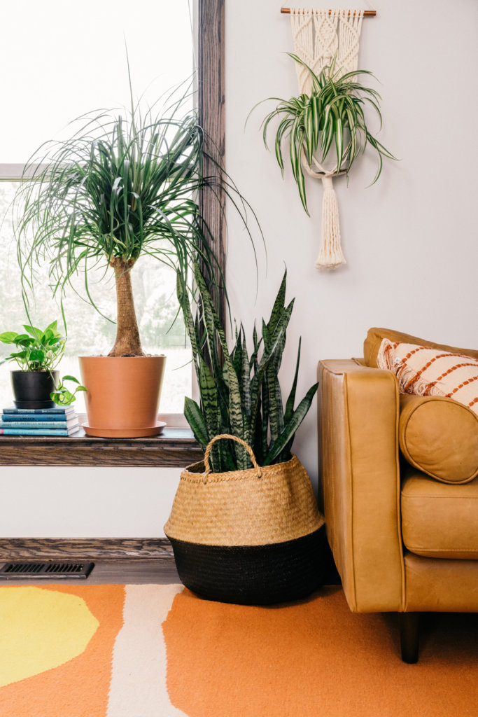 plantas-para-apartamento