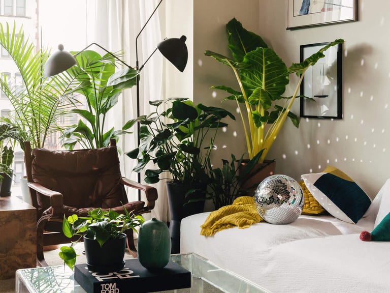 decoracao-de-apartamento-com-plantas-2
