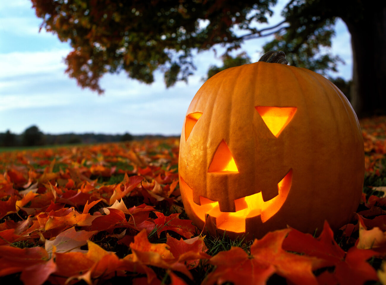 abobora-halloween
