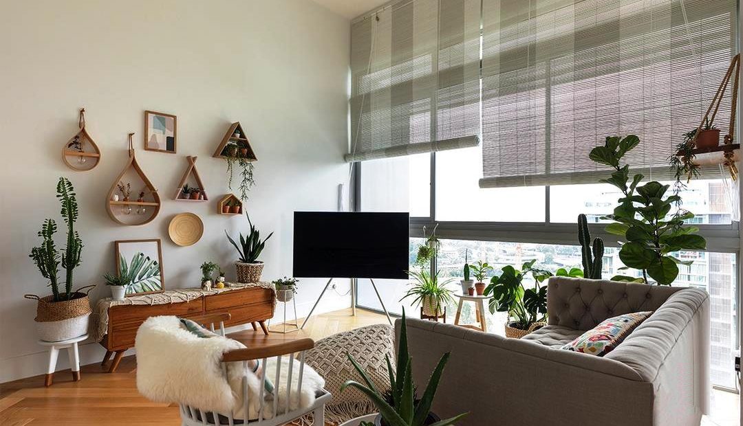 plantas-para-apartamento
