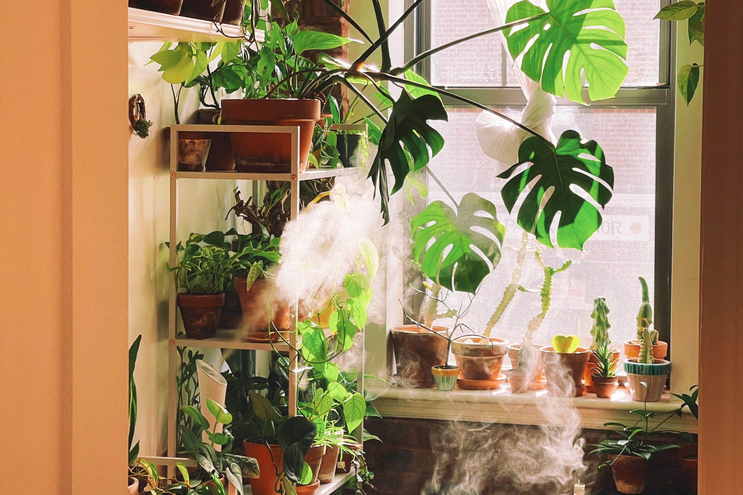 plantas-para-apartamento