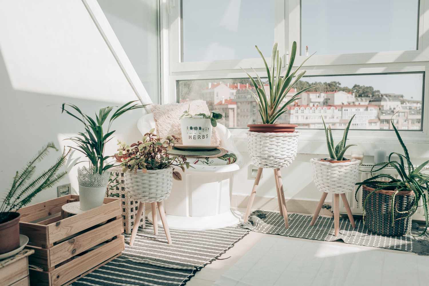 plantas-para-apartamento
