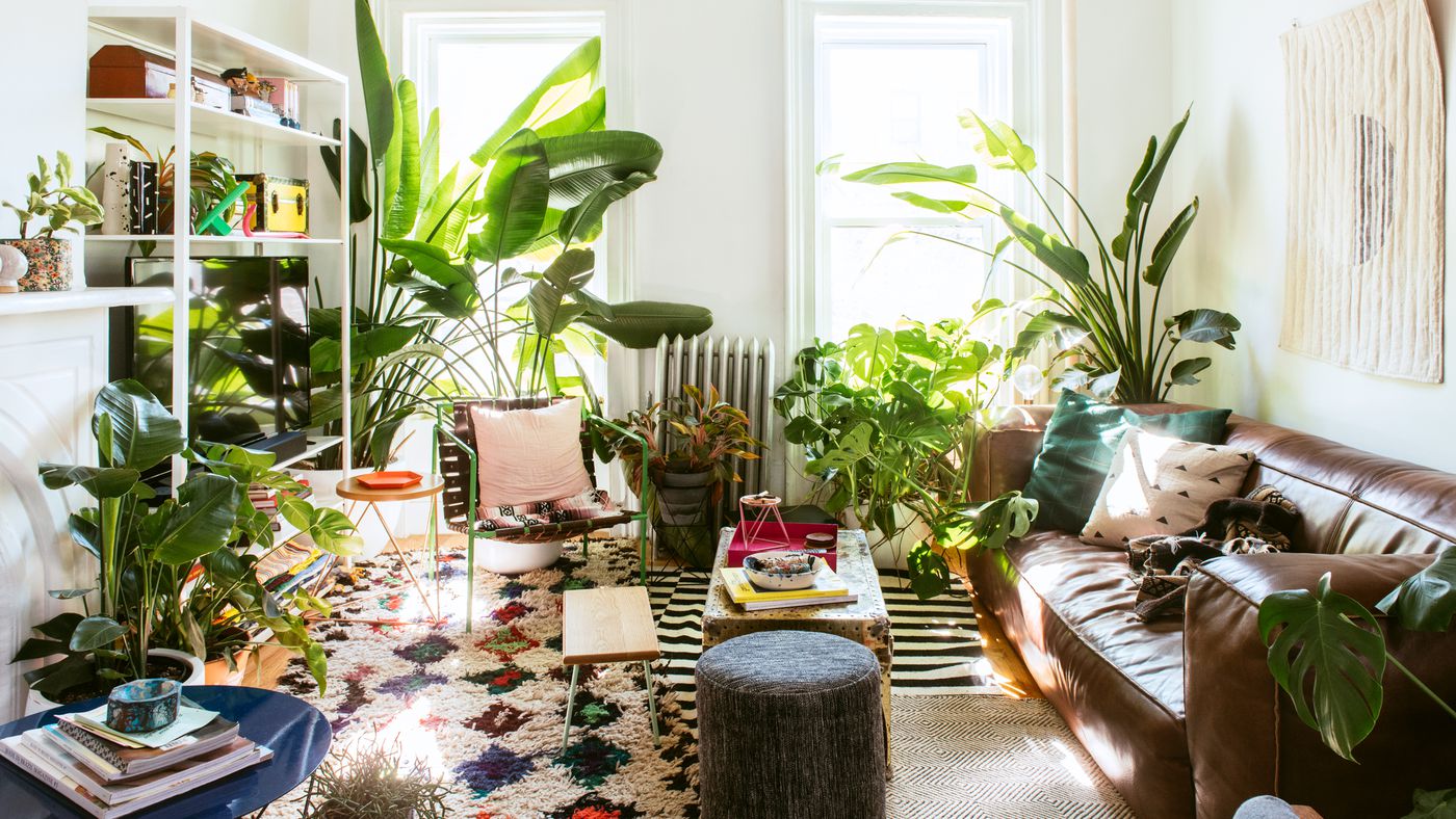 plantas-para-apartamento