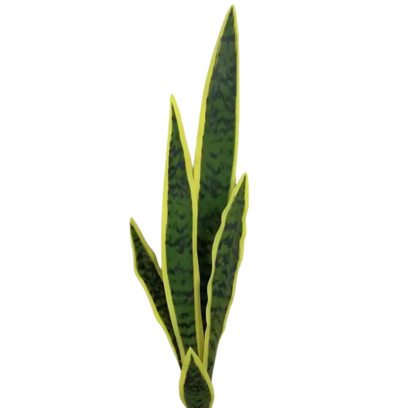 espada-de-sao-jorge-2