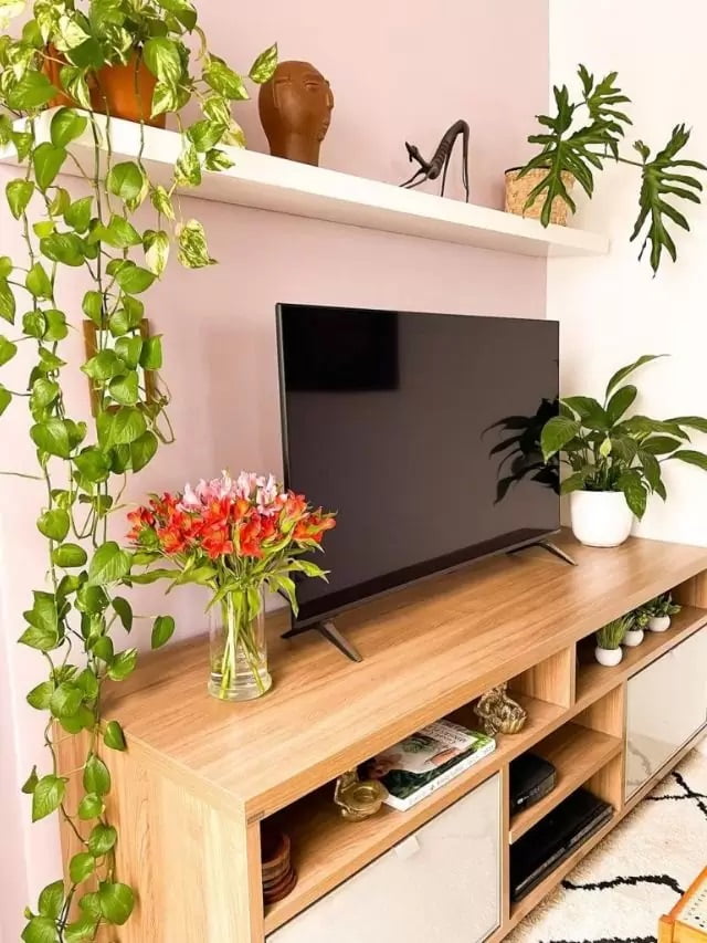 ideias-de-decoracao-com-jiboia