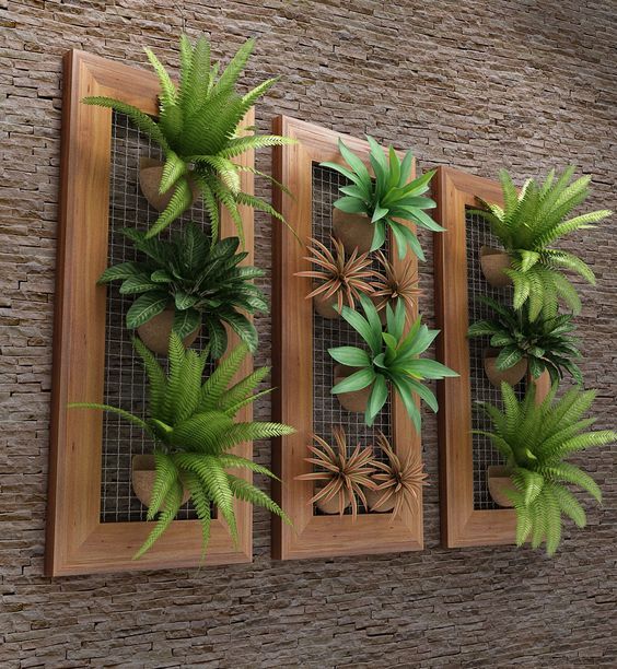 plantas-de-jardim