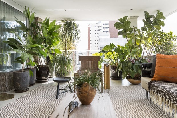 plantas-para-apartamento
