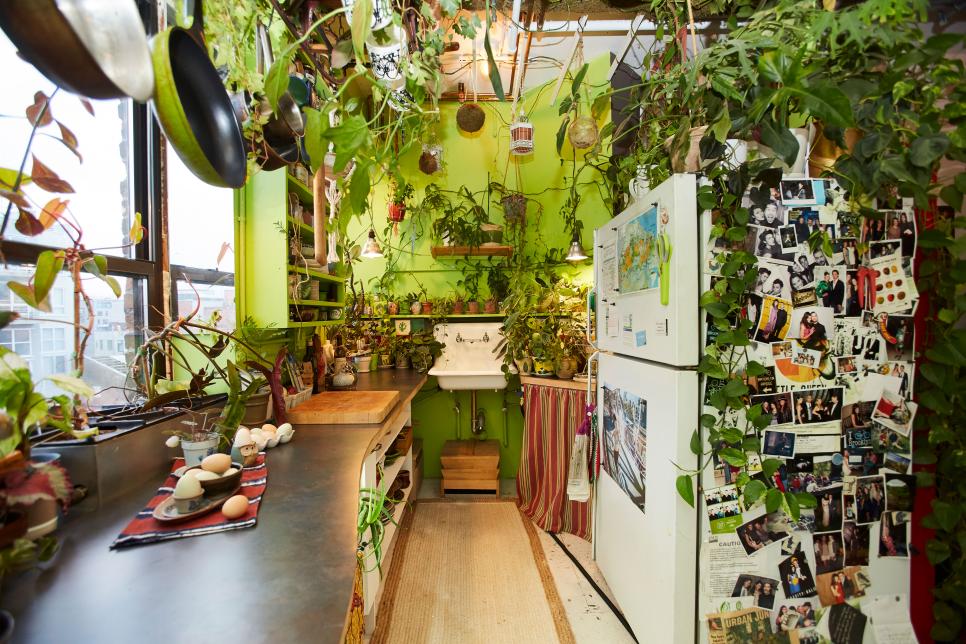 plantas-para-apartamento