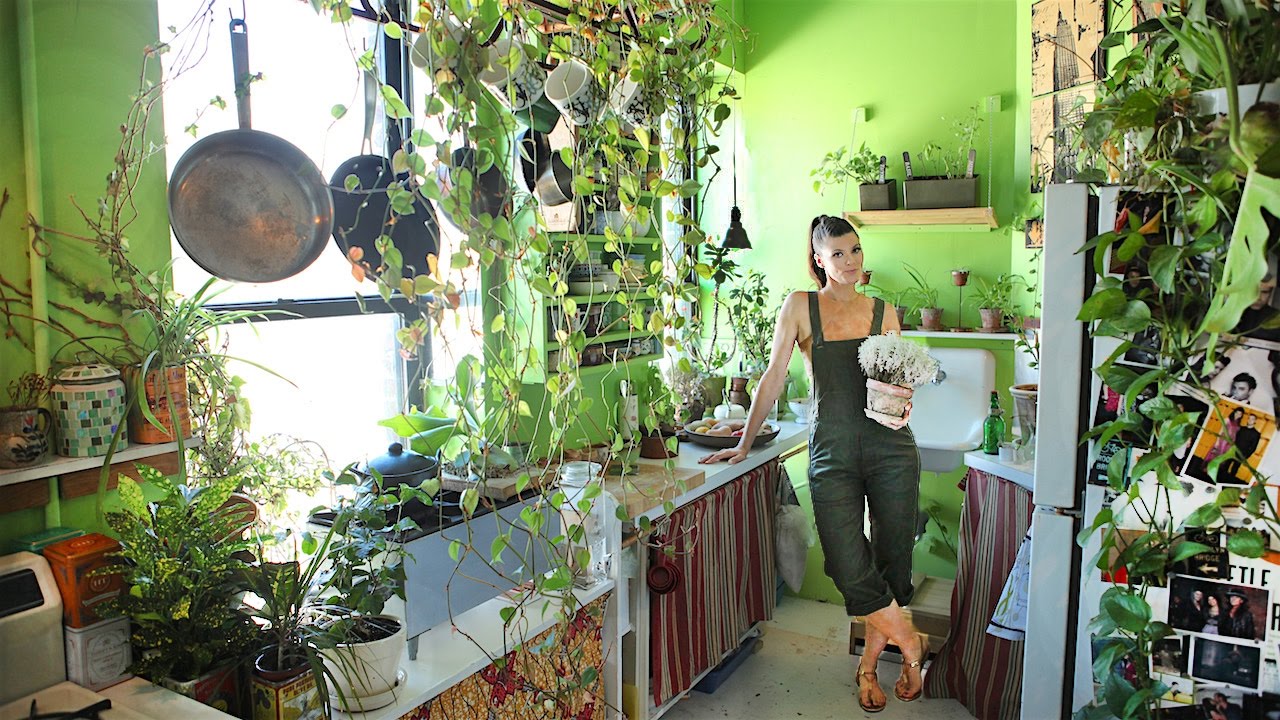 plantas-para-apartamento