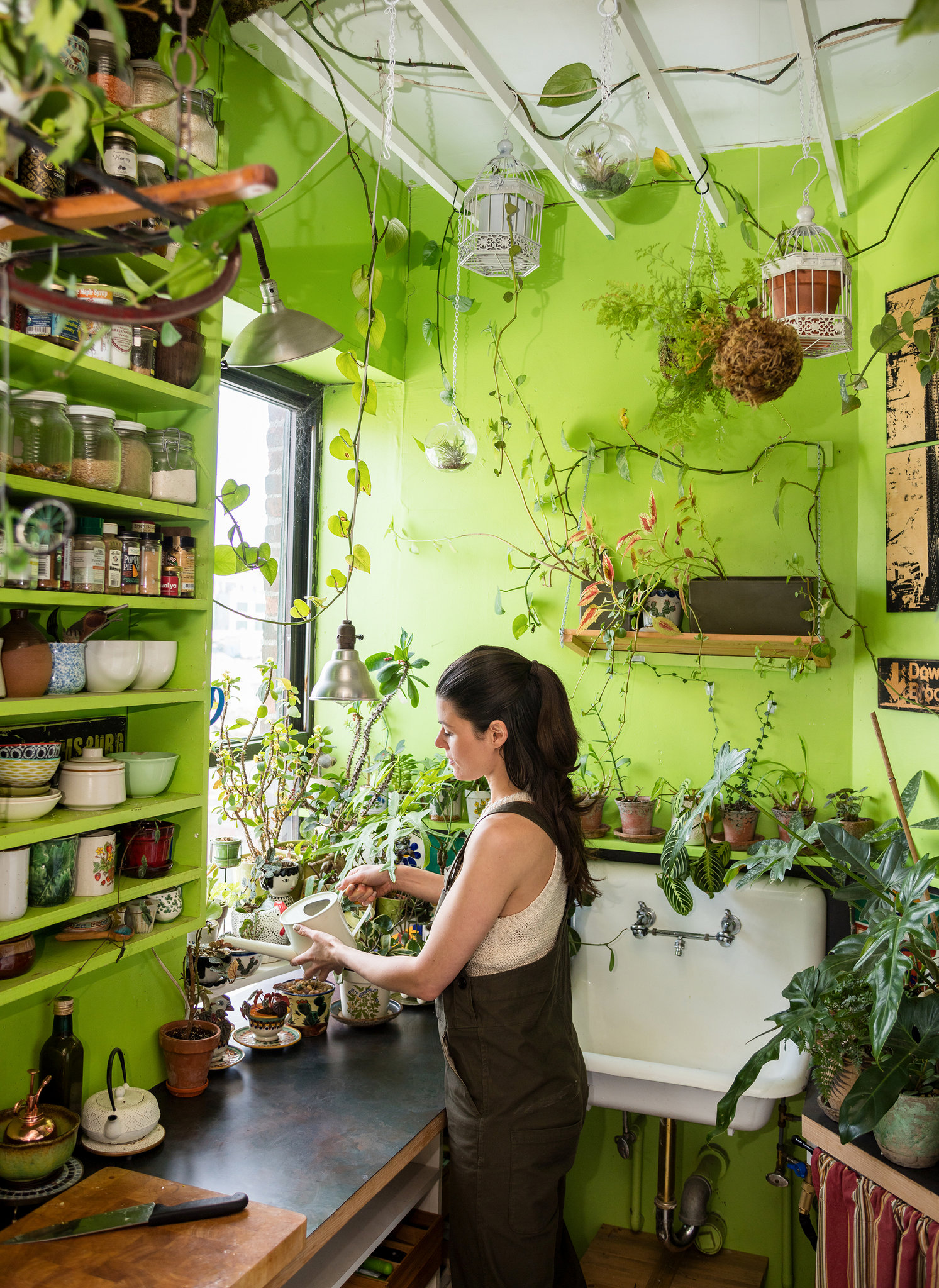 plantas-para-apartamento