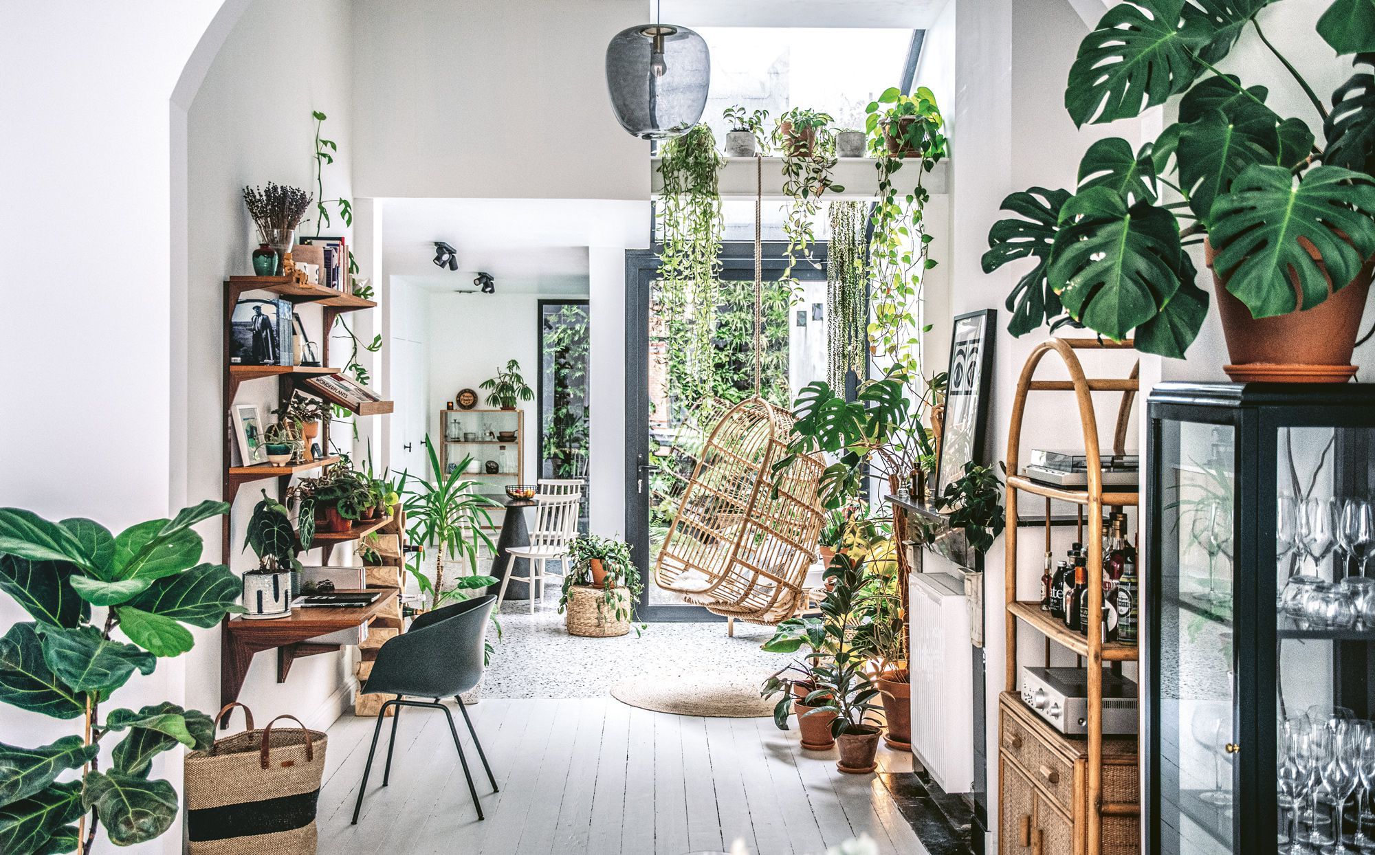 plantas-para-apartamento