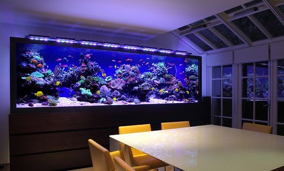 decoracao-com-aquario-na-sala-ou-no-quarto