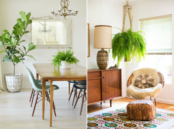 plantas-para-apartamento