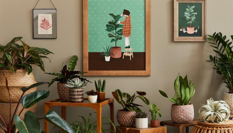 plantas-para-apartamento