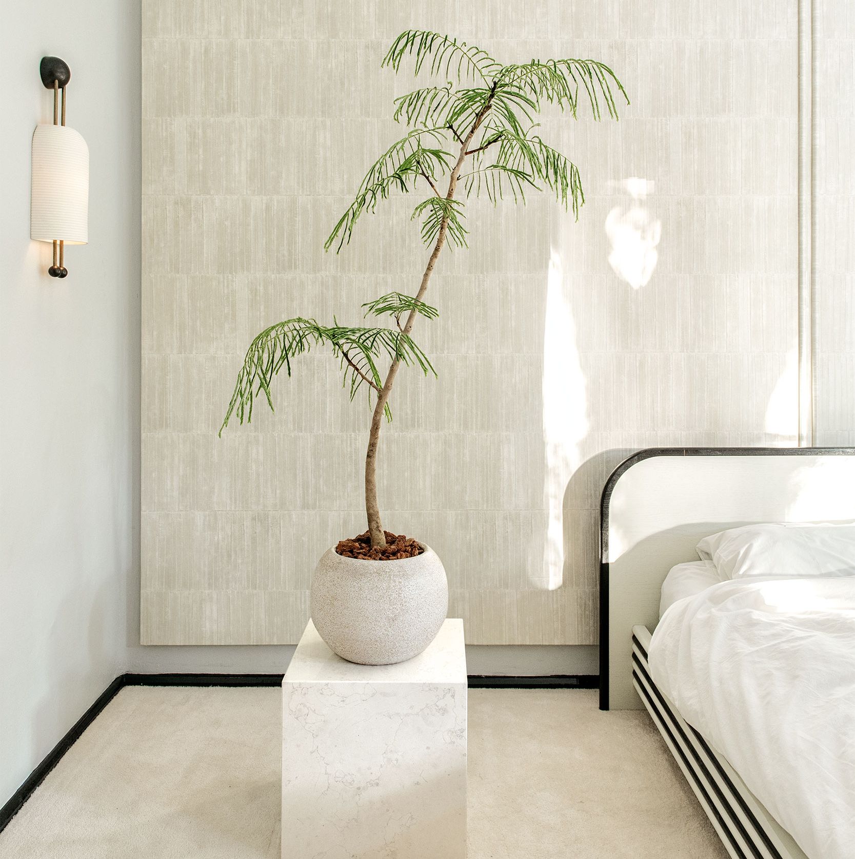 plantas-para-apartamento