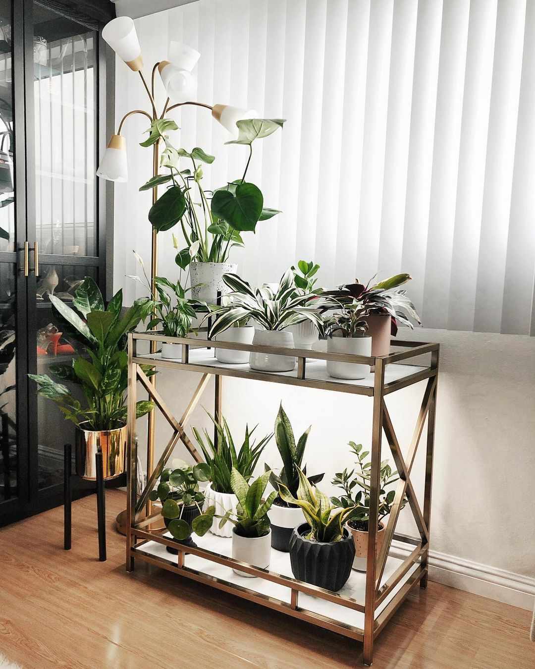 plantas-para-apartamento