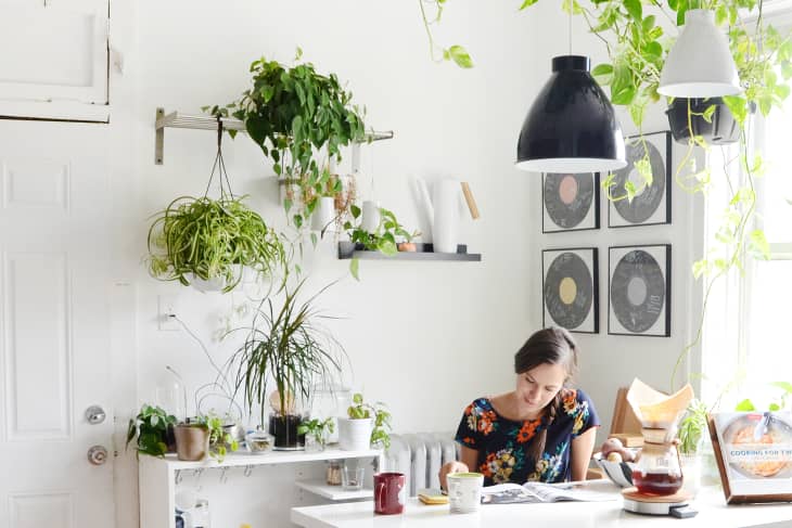 plantas-para-apartamento