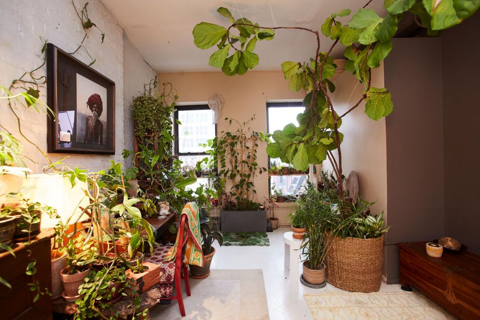 plantas-para-apartamento