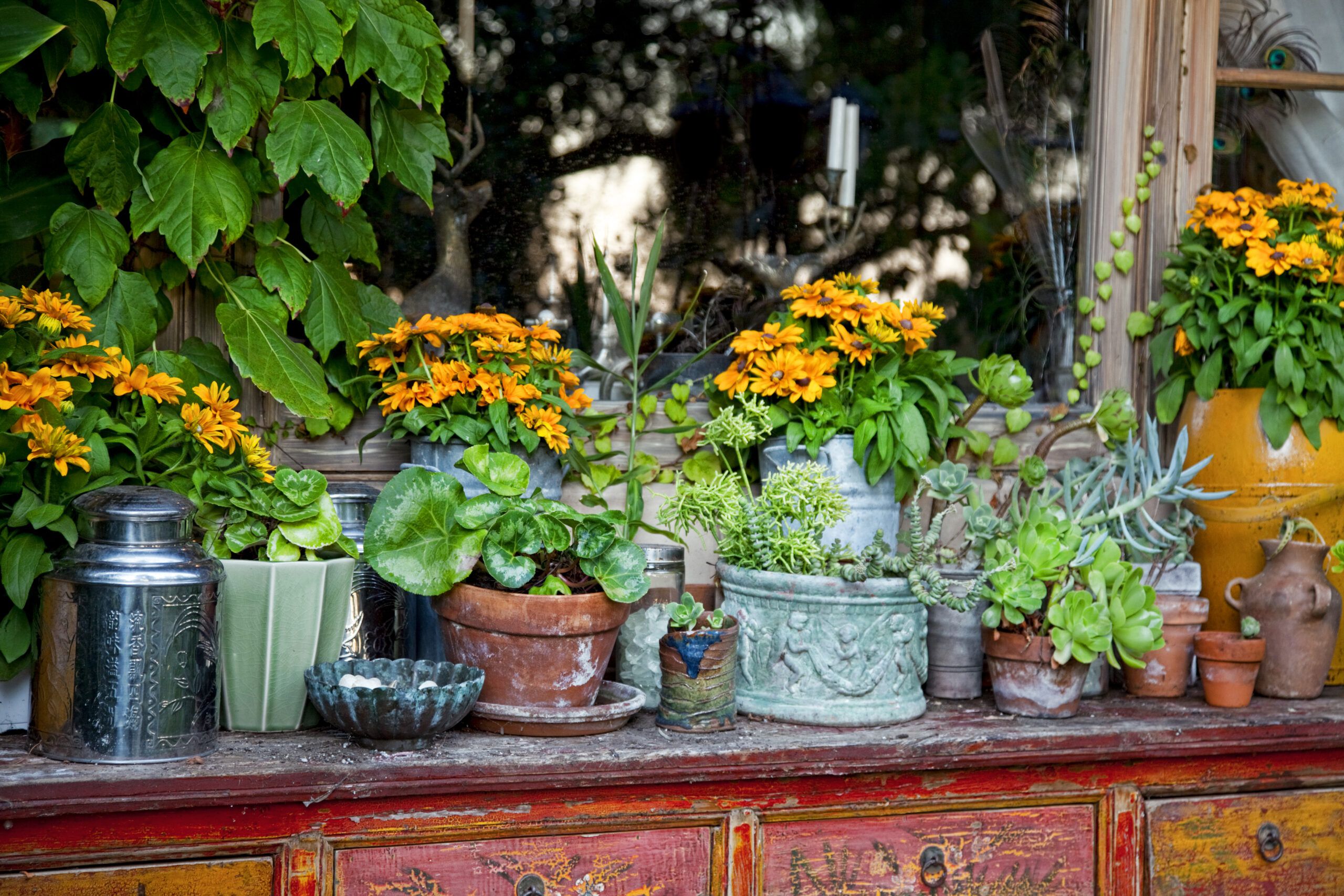 decoracao-de-jardim