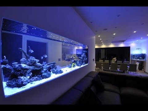 decoracao-com-aquario-na-sala-ou-no-quarto