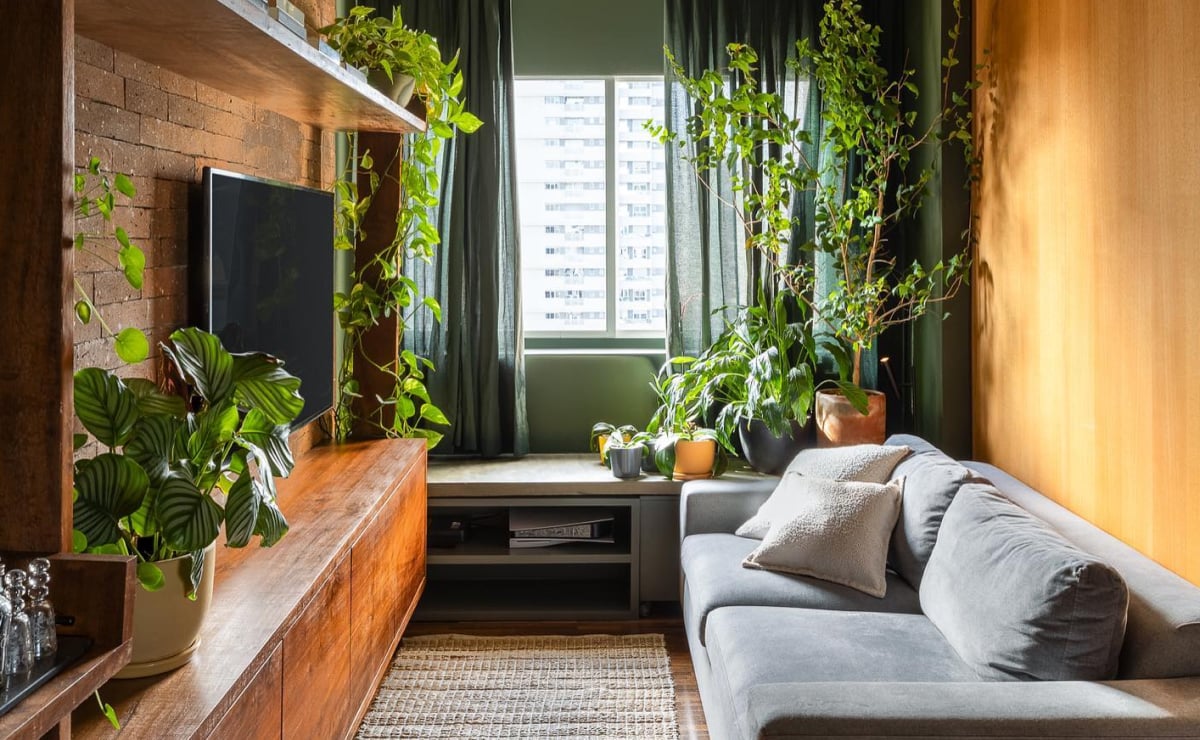 decoracao-de-apartamento-com-plantas-2
