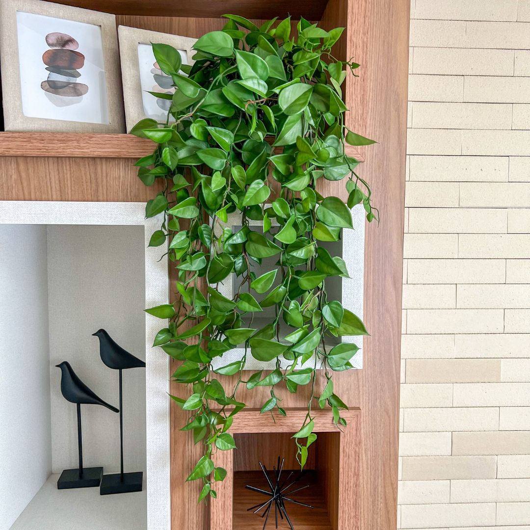 ideias-de-decoracao-com-jiboia