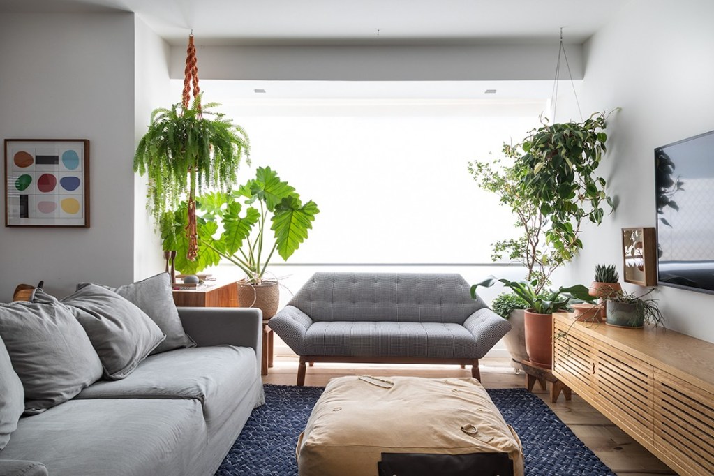 plantas-para-apartamento