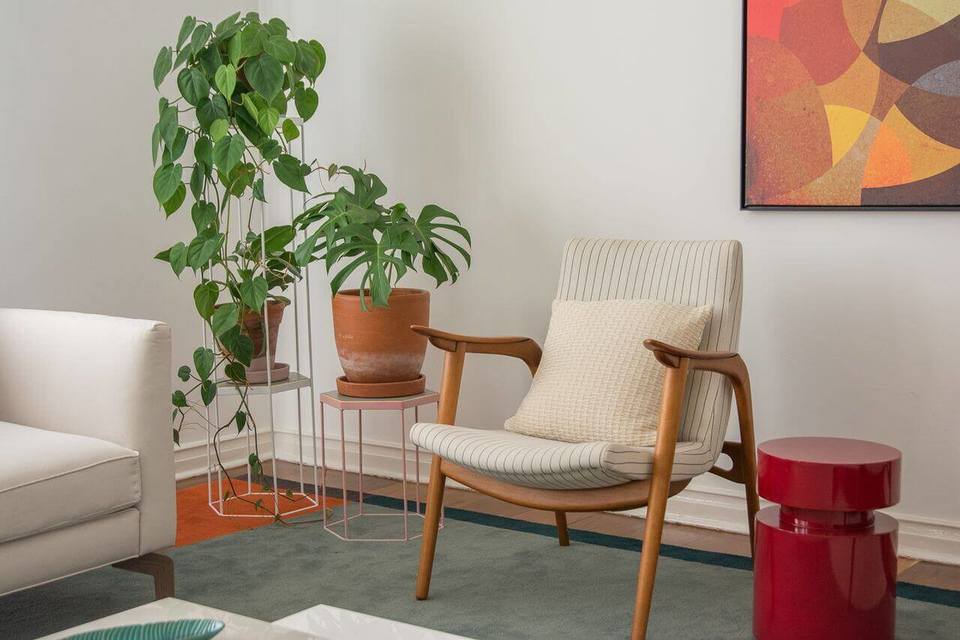 plantas-para-apartamento